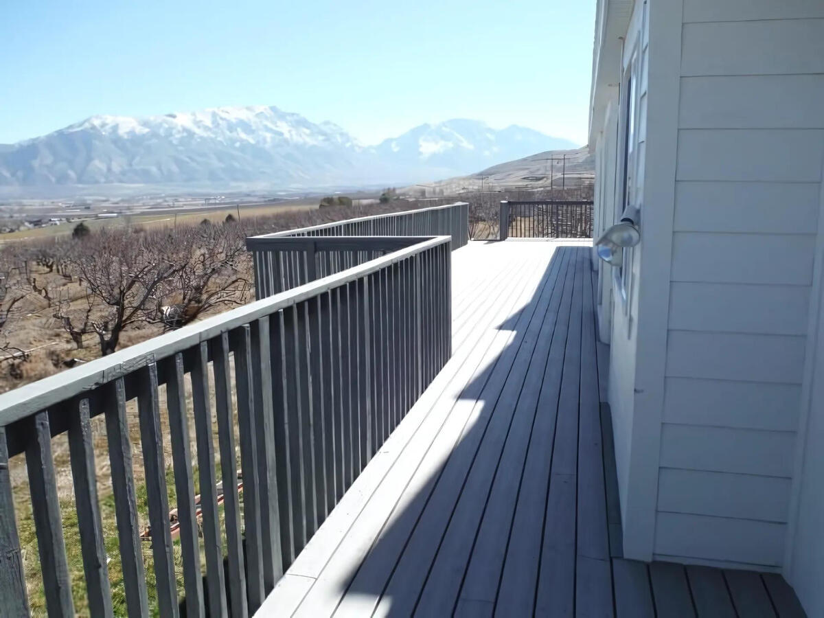 Back deck Back deck