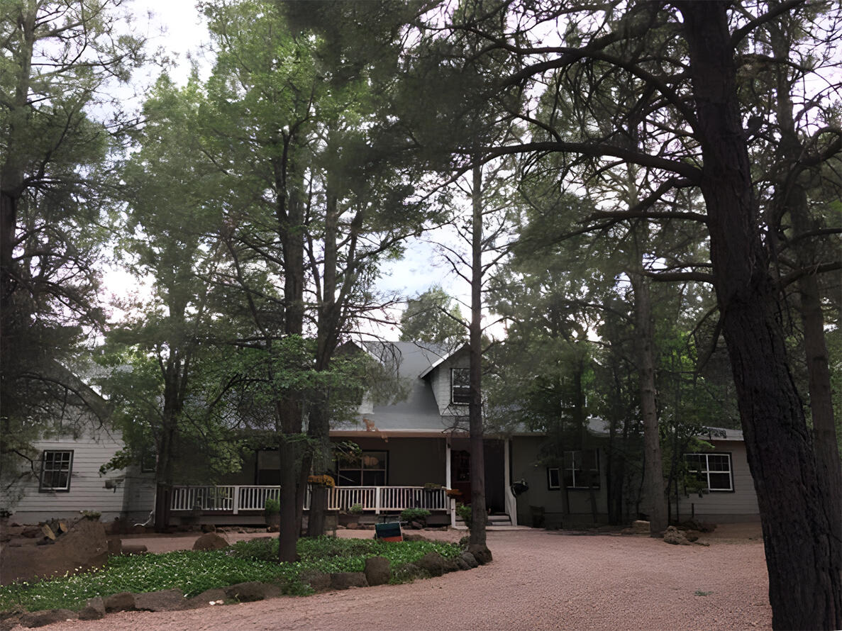 Gray house in forest
